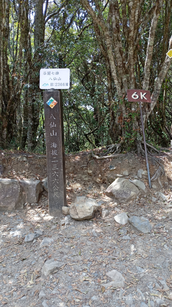 八唐縱走 (松鶴上裡冷下)