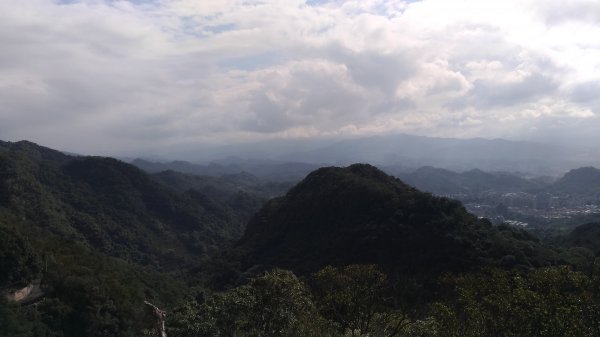 鯉魚山+忠勇山+大崙頭尾山+圓覺寺步道519531