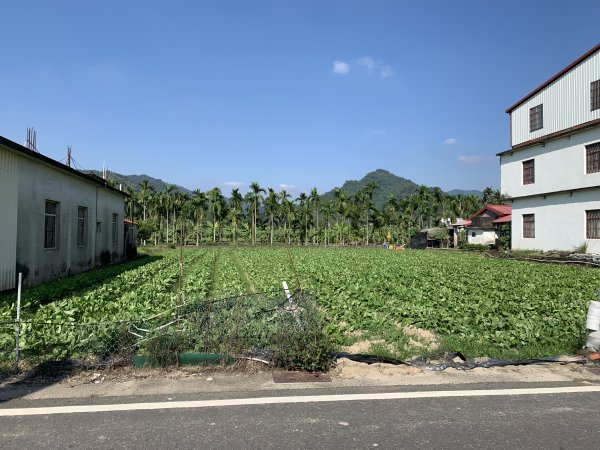 20251122高雄笠山-坦水衍山2945348