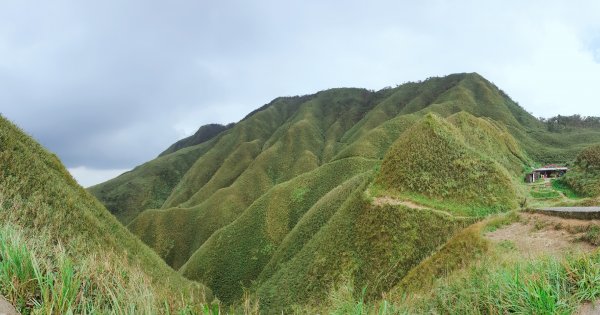 抹茶山~聖母山莊735025