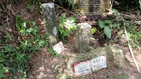 平溪區上天福安宮-粗坑頭崙-五分山西峰-五分山步道去回3088403