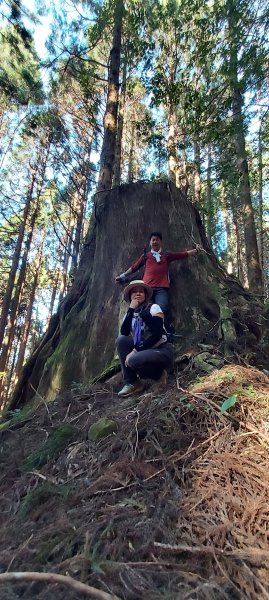 20241127特富野古道+梯子板山2659352