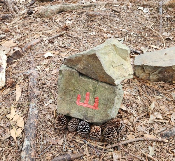 【中級山】芝生毛台山，芝生毛台山西峰，秀巒軍艦岩，屯野生步道，屯野生砲台2745132