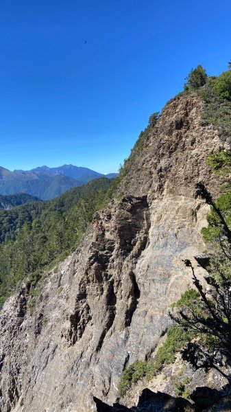 南三段-------丹大無雙豔陽天2916531