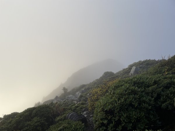 一日小O聖 2024 11/222865483