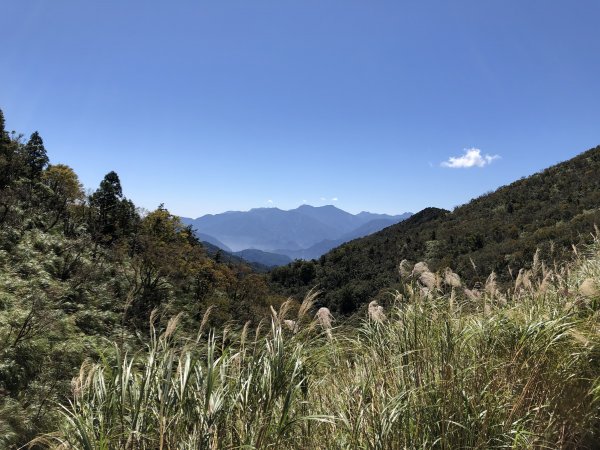 漫步探訪台灣山毛櫸國家步道965921