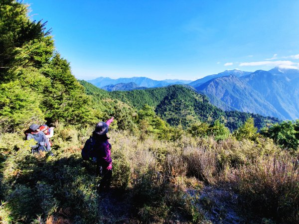 【塔塔加六山】眺望玉山最美稜線1234917