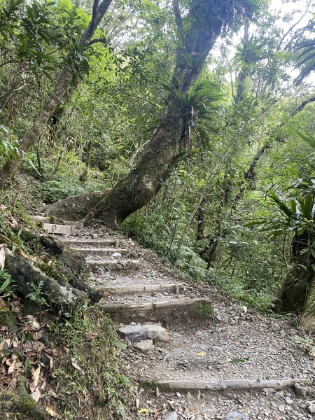 三角崙山及抹茶山3065484
