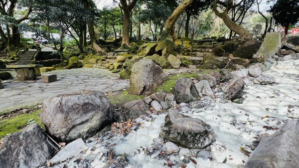 陽明山橫嶺古道|搭公車就能到京都嵐山竹林美景||澄園秘境賞梅前山公園悠閒野餐1603378