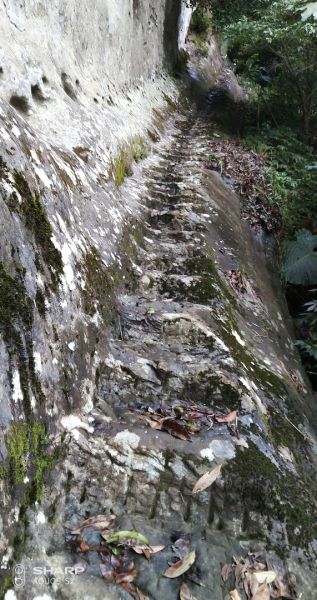 九龍山峰頭尖東峰臭頭山中央尖慈恩嶺o型352860