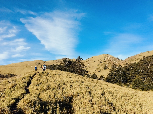 合歡山北峰-小溪營地50310