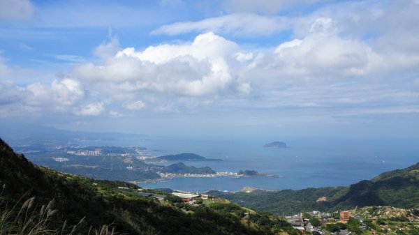 樹梅坪,黃金神社封面