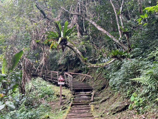 鯉魚山步道群2728323