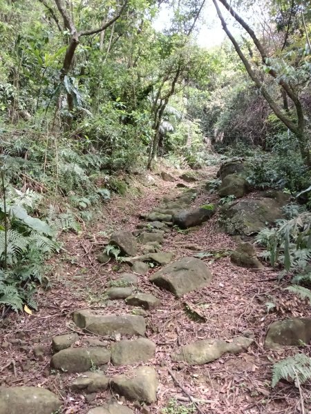 雙溪區三叉港+遠景古道+楊廷理古道+雞母嶺街O型2758663