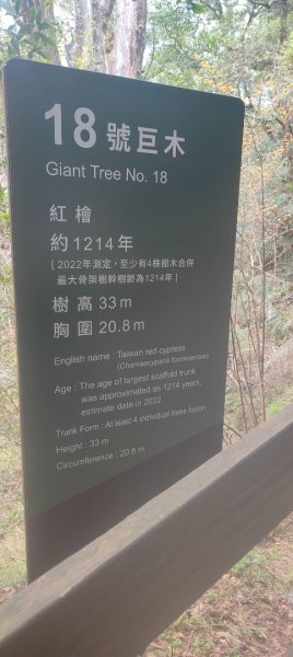 拉拉山國家森林遊樂區2752247