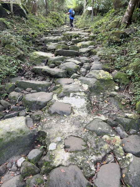 20250830台南關仔嶺大凍山步道2914707