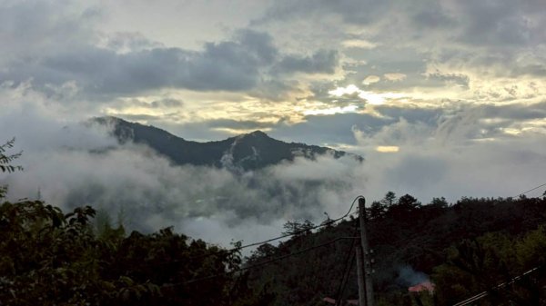 司馬庫斯巨木步道2861077