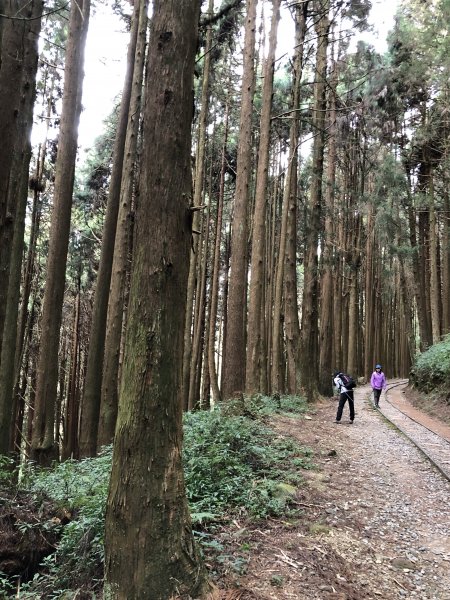 特富野古道健行883297