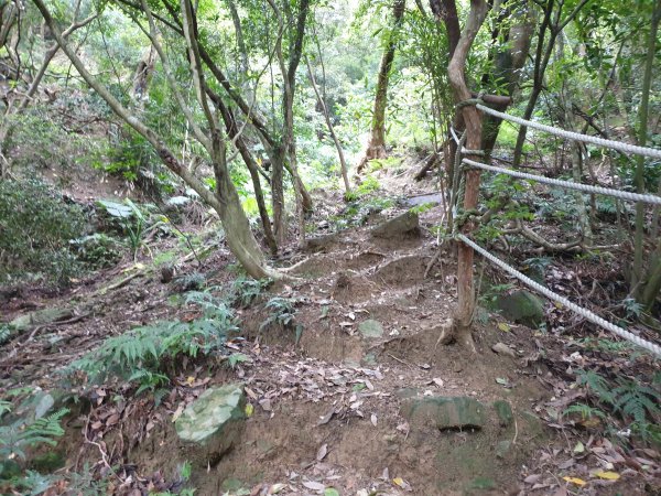 阿畢崎古道與沖庫山1564642