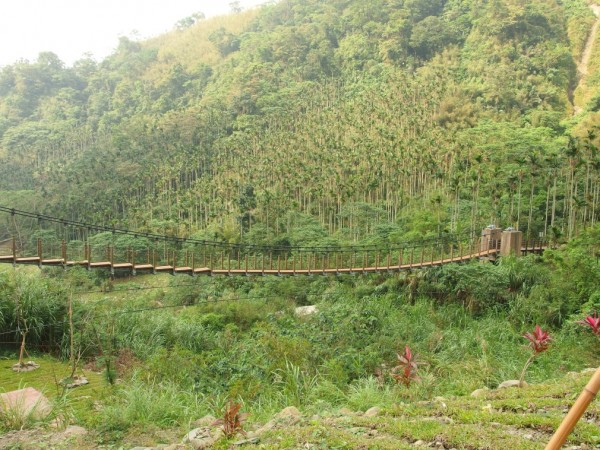 華山咖啡園區254709