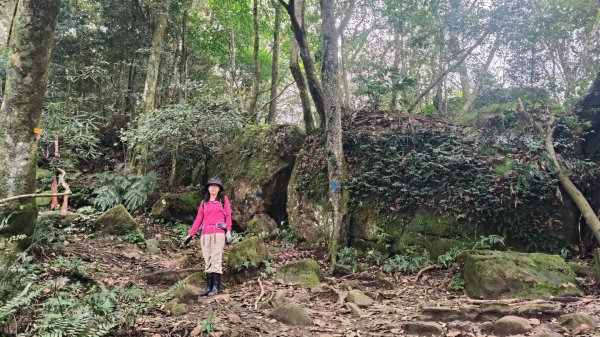 五指山走春3009597