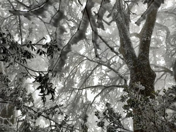 雪季北得拉曼2956389