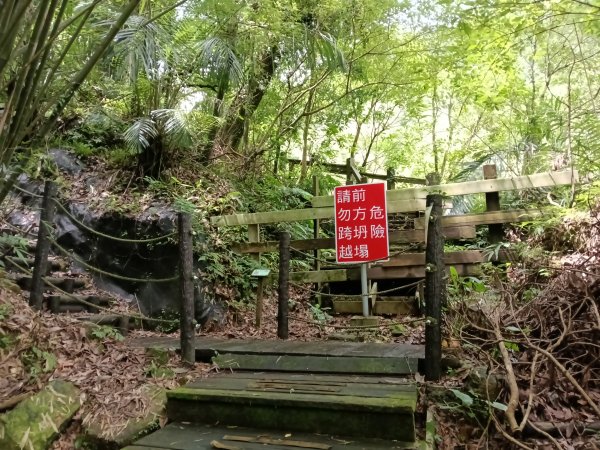 基隆市荖寮坑古道+十分古道(暖東舊道)+頂子寮山(嶺頭土地公)P字走2821502
