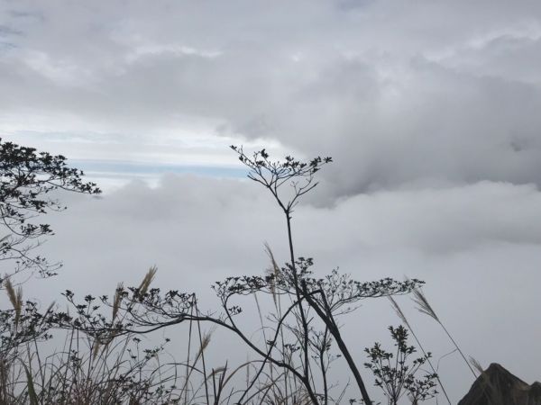 谷關大道院上的東卯山340571