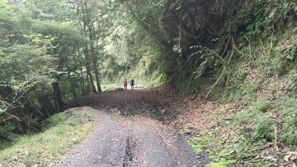 20251010 大雪山國家森林遊樂區 - 船型山林道 登 烏石坑山2911044