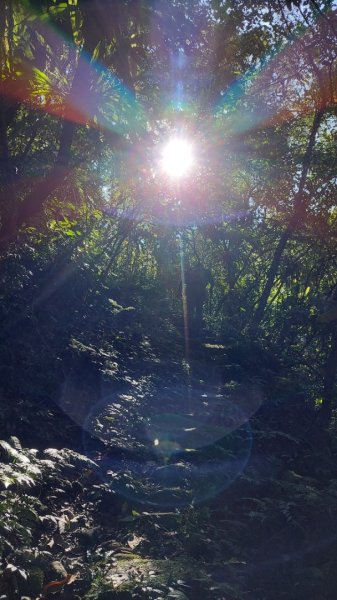 新店小粗坑赤蘆古道越嶺O型2784404