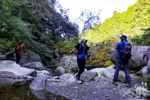 20241228之向天湖山 加里山 哈堪尼山 虎山西南峰 南大龜山 三角湖山2688711