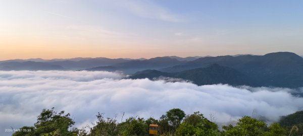 #翡翠水庫壩頂 #日出 #雲海 4/273043421