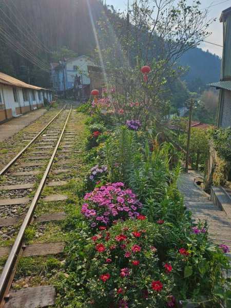 20260330十字路車站O繞多林車站 得恩亞納3027270
