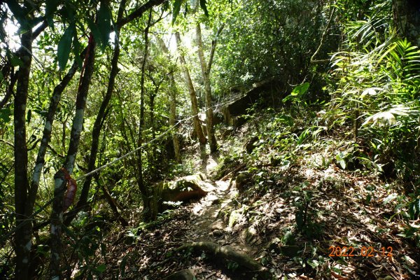 臺中 太平 暗影山1608981