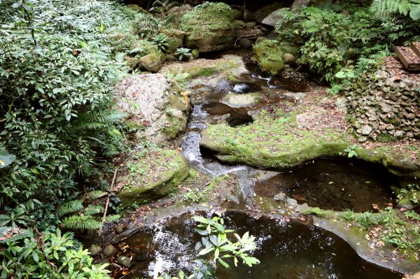 新竹峨眉｜水濂橋步道．藤坪步道｜百年糯米橋與天然岩窟中的梵音1574340