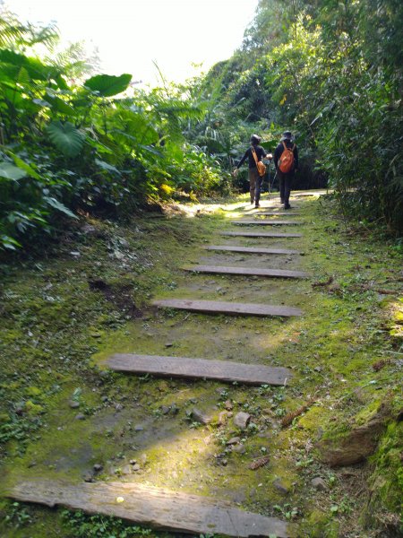 2022-04-09 迷糊步道_福山古道O型1668182