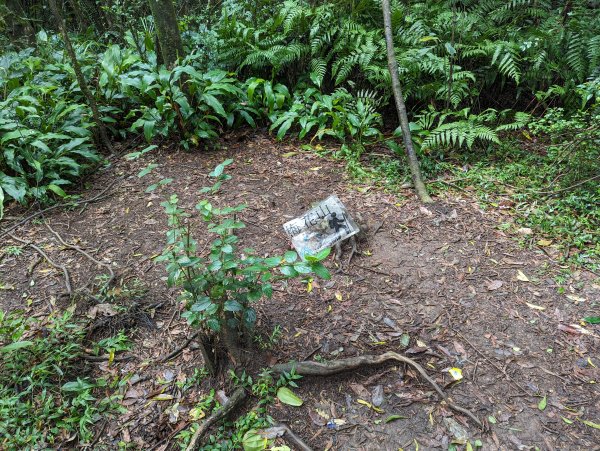 2023-10-22 臺北大縱走第四段2792959