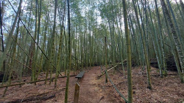 水社大山 水社主峰1597937