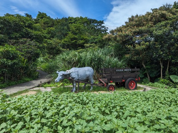 2023-08-26 臺北大縱走第七段2792848