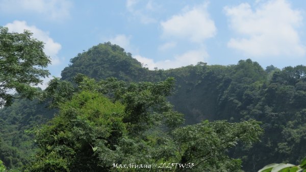 《南投》峰峰相連｜草屯九九峰森林步道O型202509062879289