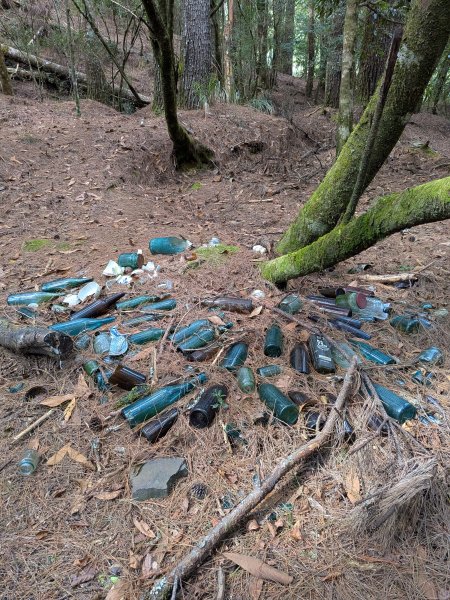 結界縱走三日(結城山、境界山、檜山)2920870