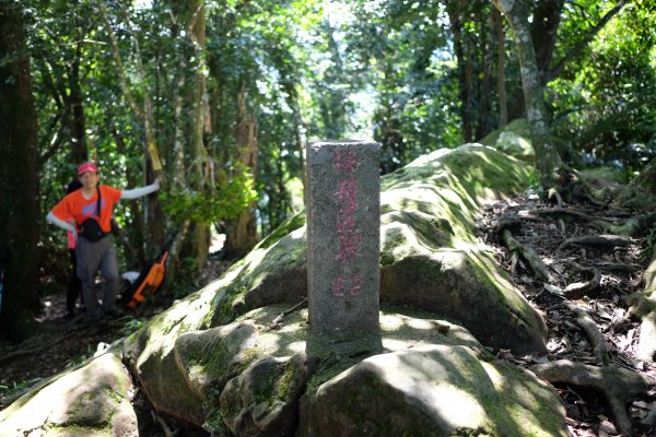 新竹關西鎮 赤柯山四連峰O型2284520