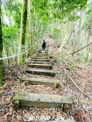 【台中和平】橫嶺山自然步道_木馬古道3095022
