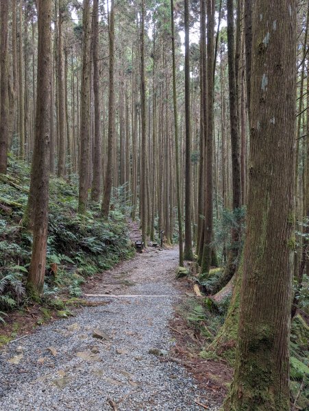 孕婦第二次的谷關七雄屋我尾山+橫嶺山3106906