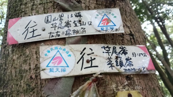 三芝區竿尾崙古道-竿尾崙-清涼崙-大屯溪古道O型3095662