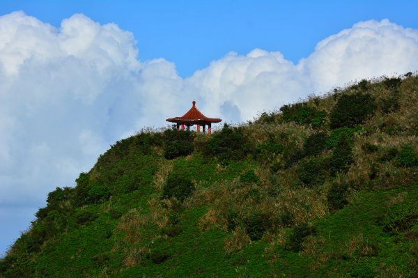 茶壺山O型賞芒1194031