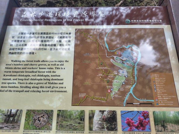 佳保台山3079394