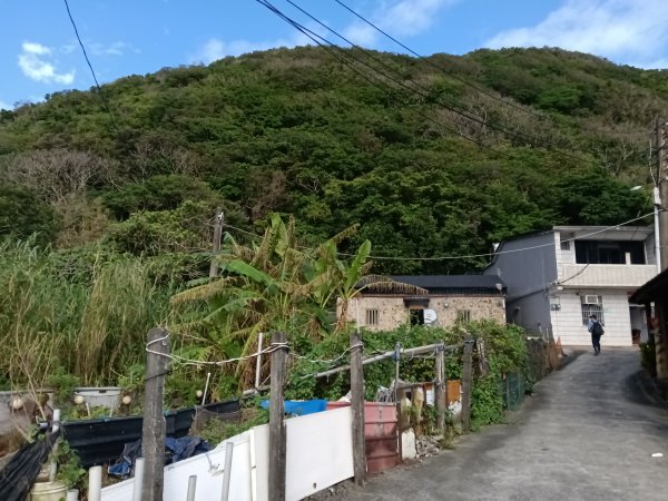 貢寮區龍洞坑古道+苦苓嶺+南雅山+海園古道O型2954595