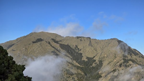 20241124-1130 南二段10座百岳2665366