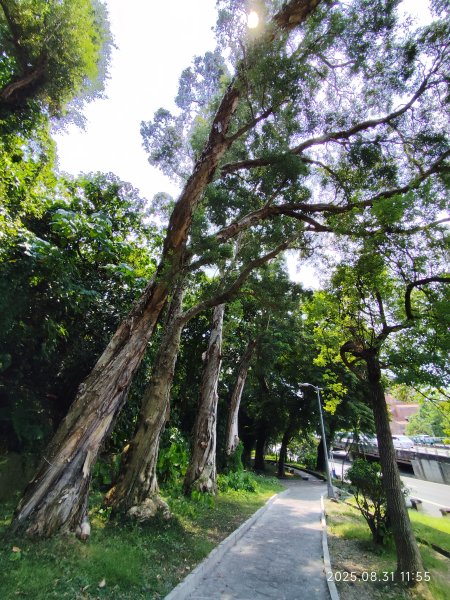 劍潭公園、八二三砲戰紀念公園【臺北健走趣】2878729